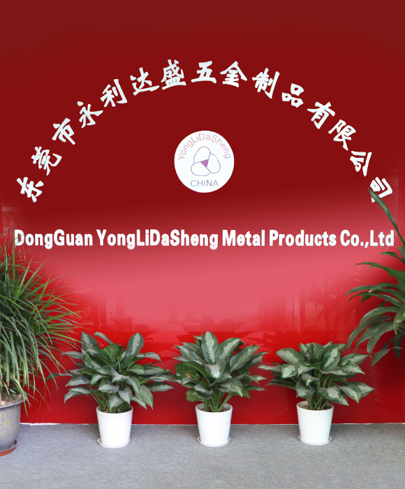Dongguan YongLiDaSheng Metal Products Co.,Ltd