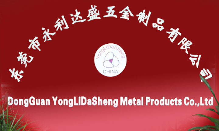 Dongguan YongLiDaSheng Metal Products Co.,Ltd